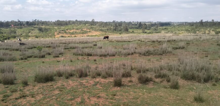 Nyandarua Leshau Block 1