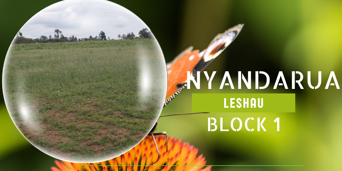 Nyandarua Leshau Block 1