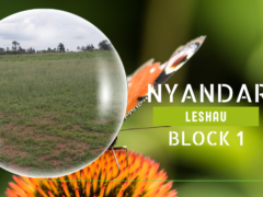 Nyandarua Leshau Block 1