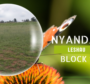 Nyandarua Leshau Block 1