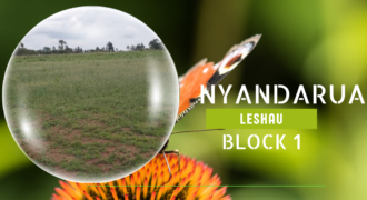 Nyandarua Leshau Block 1