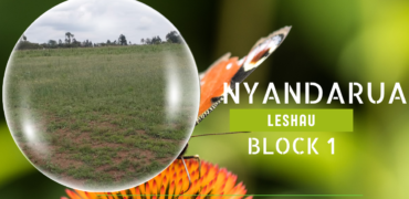 Nyandarua Leshau Block 1