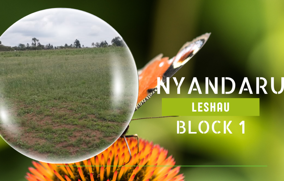 Nyandarua Leshau Block 1