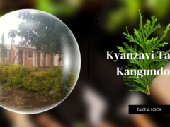 Kyanzavi Tala Kangundo