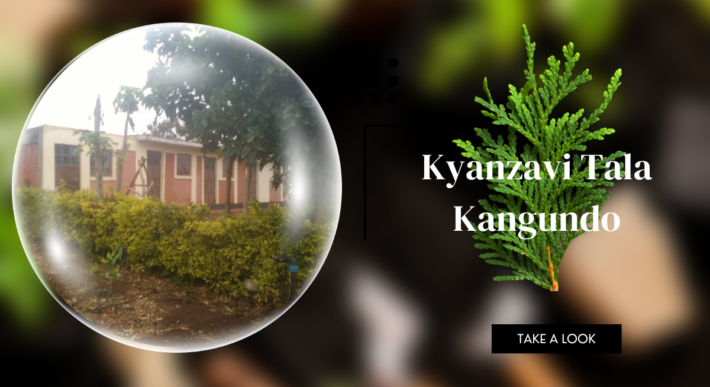 Kyanzavi Tala Kangundo