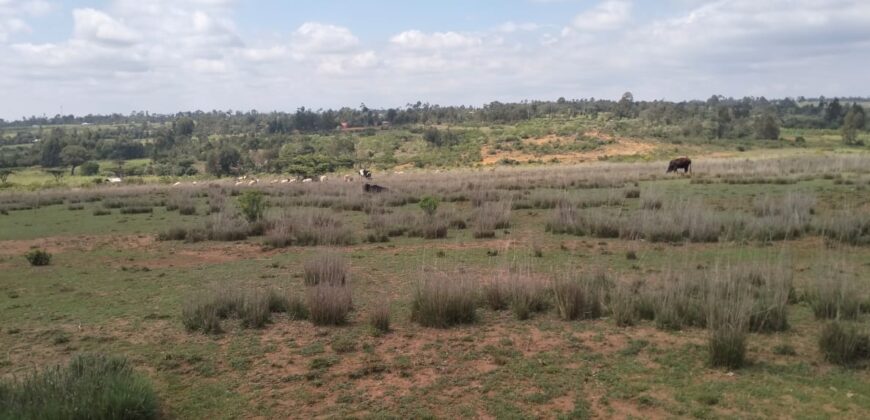 Nyandarua Leshau Block 1