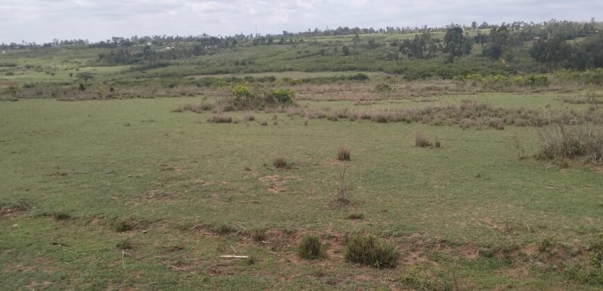 Nyandarua Leshau Block 1