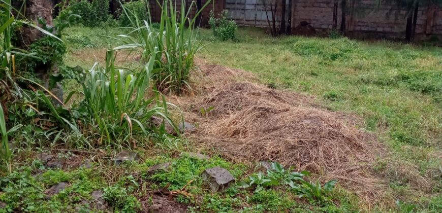 Njathaini-Starehe Girls school Road