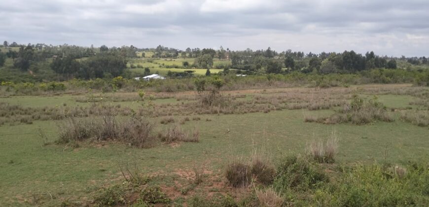 Nyandarua Leshau Block 1