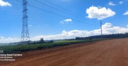 Tea Farm in Uplands, kwaregi