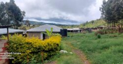 Ndeiya stables and livestock yard