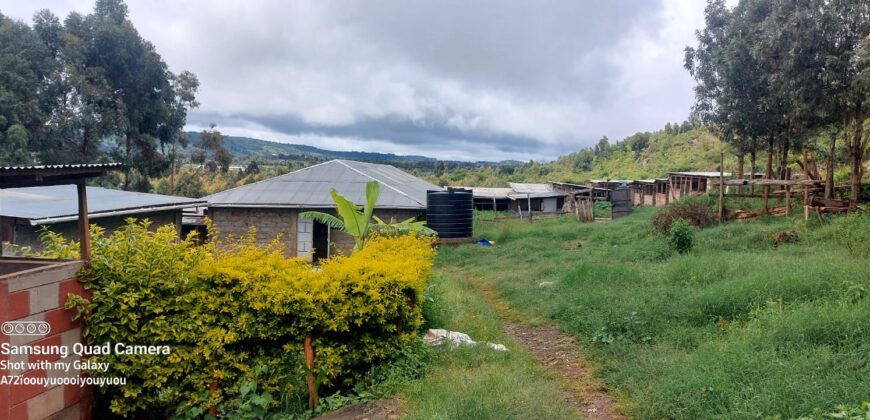 Ndeiya stables and livestock yard