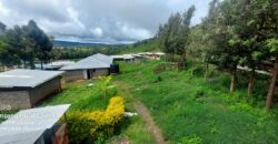 Ndeiya stables and livestock yard