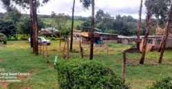 Ndeiya stables and livestock yard