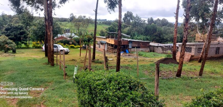 Ndeiya stables and livestock yard