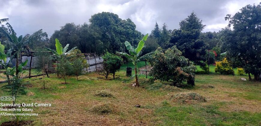 Ndeiya stables and livestock yard