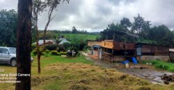 Ndeiya stables and livestock yard