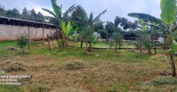 Ndeiya stables and livestock yard