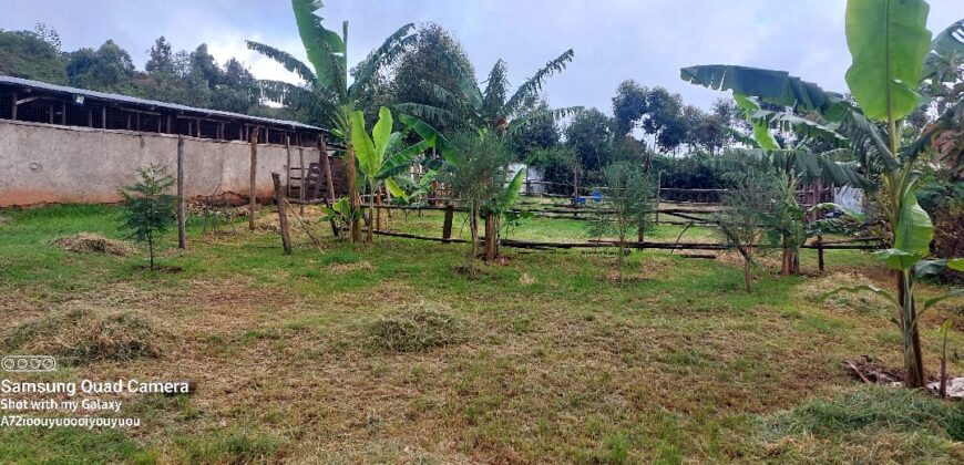 Ndeiya stables and livestock yard