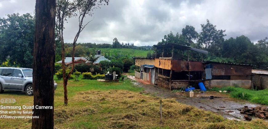 Ndeiya stables and livestock yard