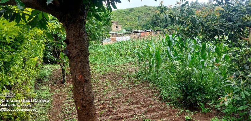 Ndeiya stables and livestock yard