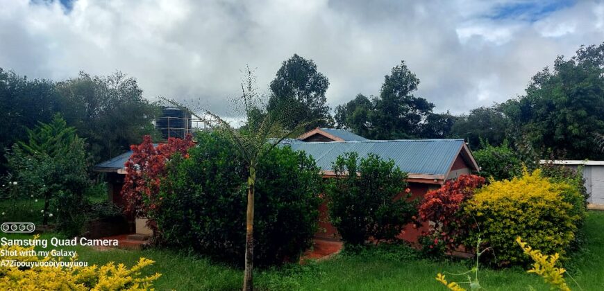 Ndeiya stables and livestock yard