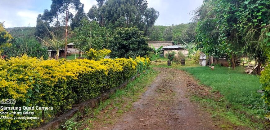 Ndeiya stables and livestock yard