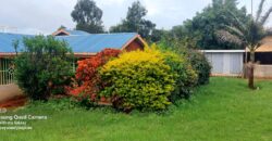 Ndeiya stables and livestock yard