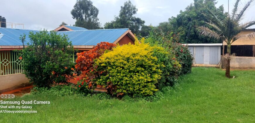 Ndeiya stables and livestock yard