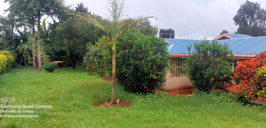 Ndeiya stables and livestock yard