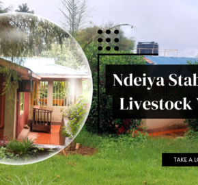 Ndeiya stables and livestock yard