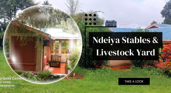 Ndeiya stables and livestock yard